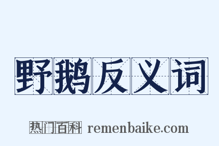 野鹅反义词是什么意思的图片